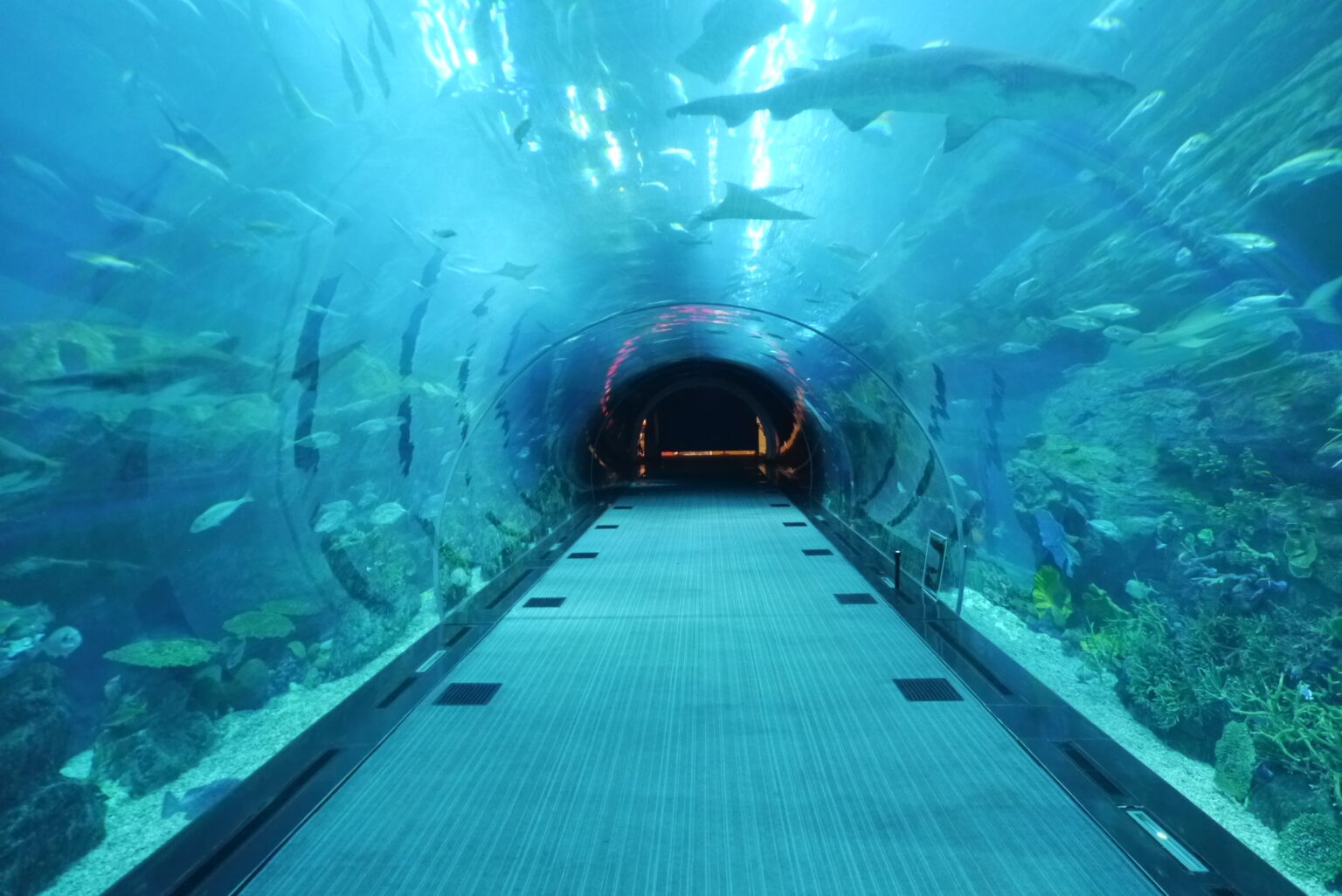 PMMA Acryl Aquarium Sichtfenster Scheibe Tunnel