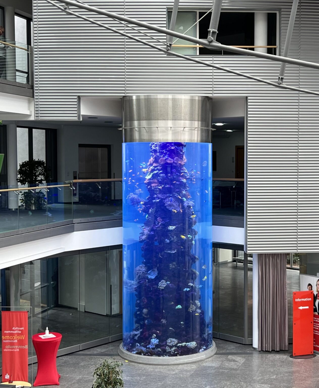 PMMA Acryl Aquarium Sichtfenster Scheibe Zylinder Tank