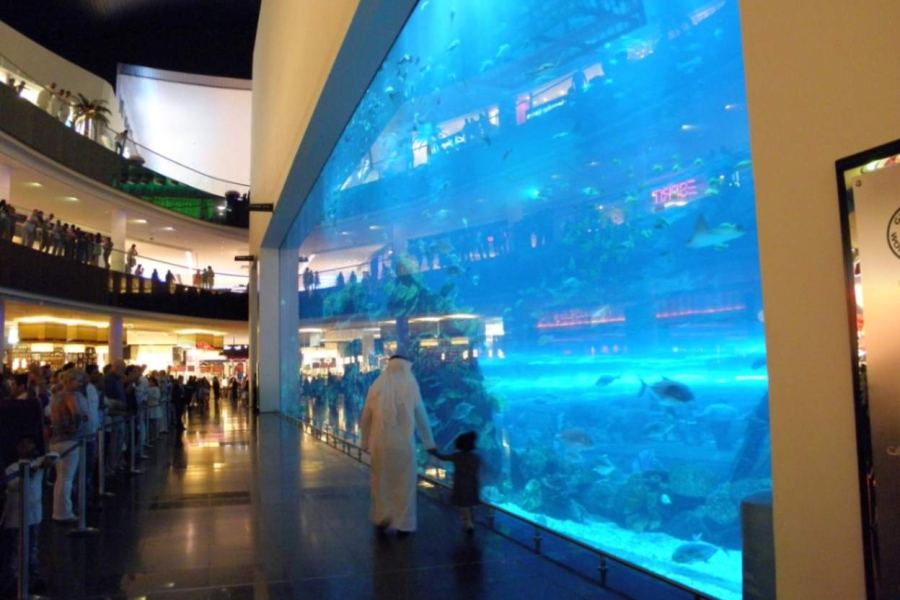 jpeg-optimizer_PMMA Acryl Aquarium Sichtfenster Scheibe Panel