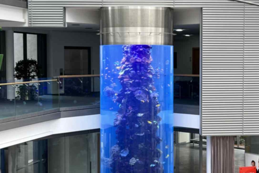 jpeg-optimizer_PMMA Acryl Aquarium Sichtfenster Scheibe Zylinder Tank