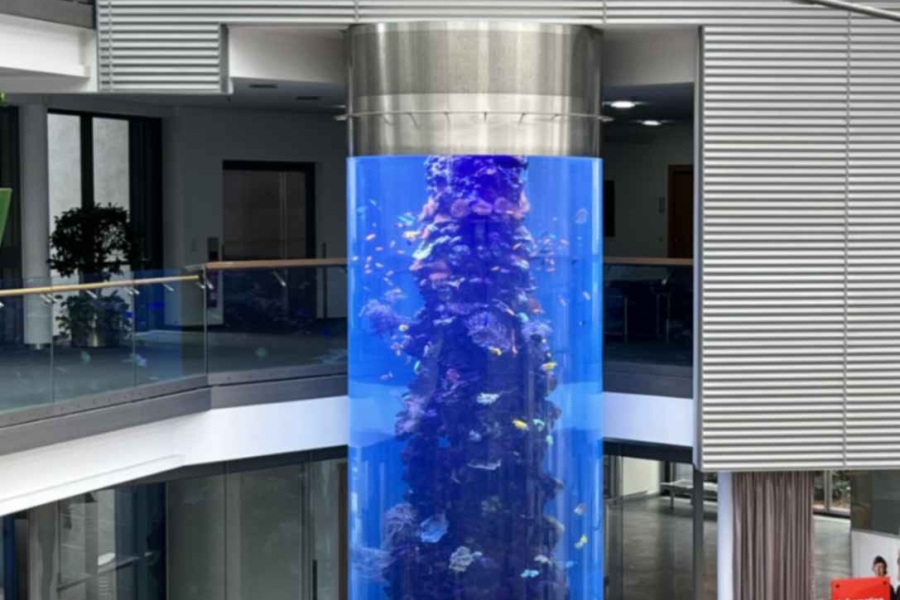 jpeg-optimizer_PMMA Acryl Aquarium Sichtfenster Scheibe Zylinder Tank